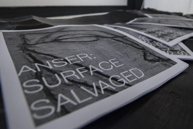 ANSER- SURFACE SALVAGED 2016- HASHTAG GALLERY- NICK WONS-5725-4
