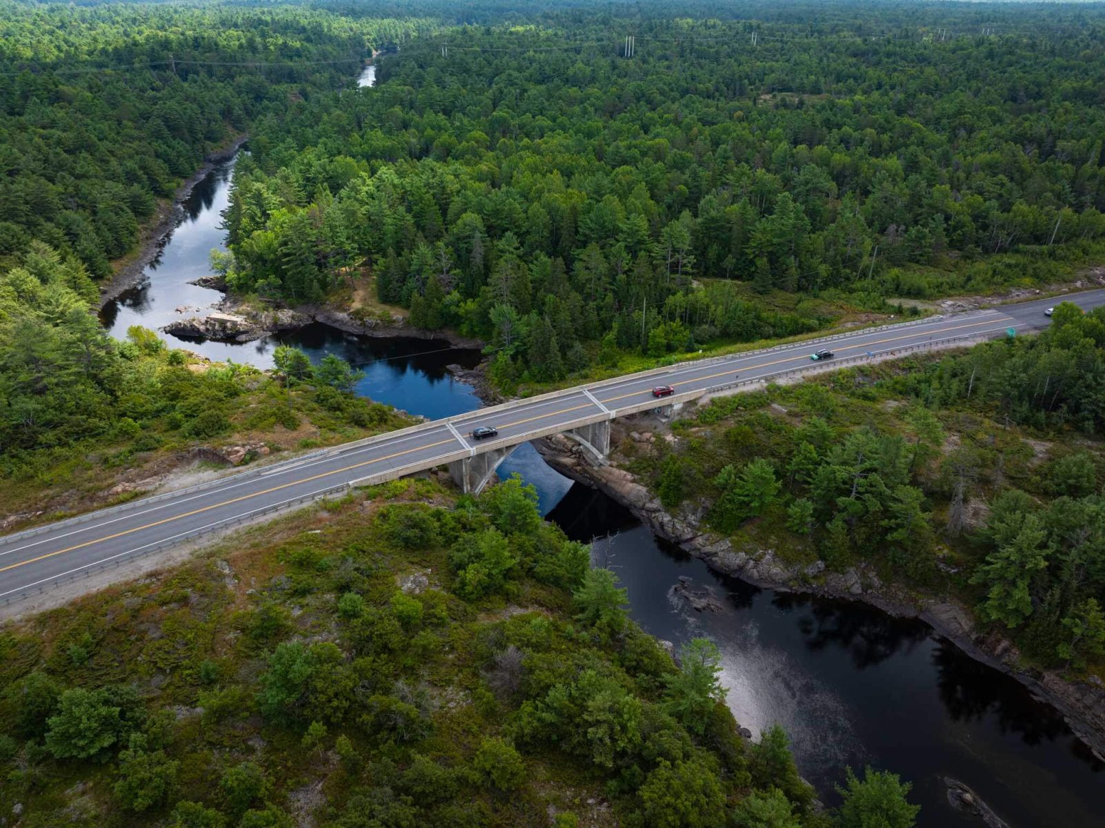 The Miller Group: Ahead of The Curve project cover